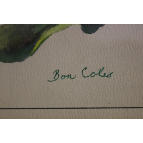438 - Bon Coles, watercolour, still life, signed lower right, approx 26 cm x 20 cm