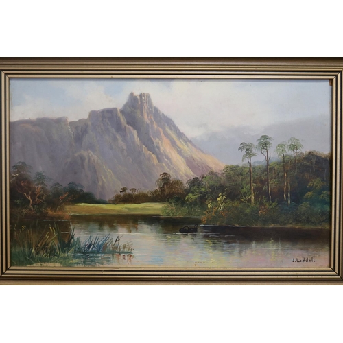 443 - J. Liddell Australia, two landscapes, untitled, oils on boards, signed lower right, 21 cm x 36 cm (2... 