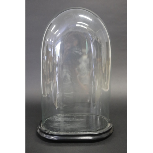 497 - Glass dome with wooden base, approx 45cm H x 28cm W