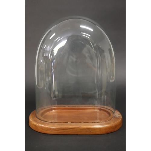 498 - Glass dome with wooden base, approx 33cm H x 28cm W