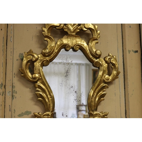 22 - Fine Italian true giltwood rococo style  boudoir mirror, approx 74 cm H x 43 cm W
