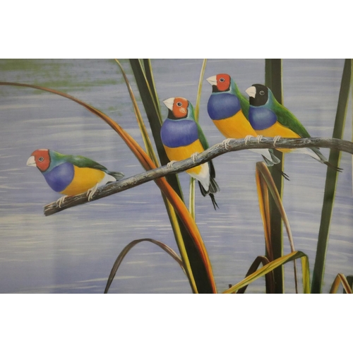 650 - Andrew Patsalou (c1955-.) Australia. Finches on a branch, painting, signed lower left, approx 30cm x... 