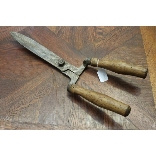 111 - Large antique French vignerons grape sheers, wooden handle, and hand forged blades, approx 53cm L