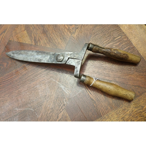 111 - Large antique French vignerons grape sheers, wooden handle, and hand forged blades, approx 53cm L