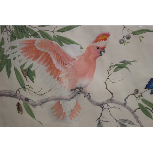 707 - Robin Hill (1932-.) Australia. Pink Cockatoo, watercolour, signed and dated lower right, 68. Also si... 