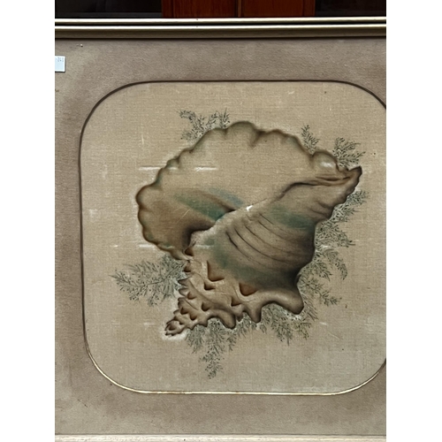 740 - Shell picture, approx 49cm sq