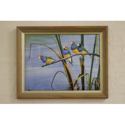 742 - Andrew Patsalou (c1955-.) Australia. Finches on a branch, painting, signed lower left, approx 30cm x... 