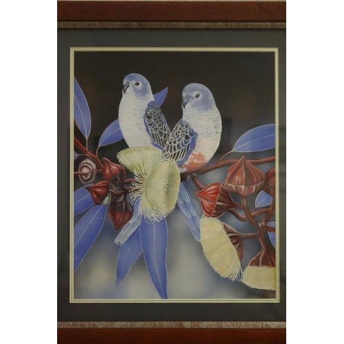 745 - Andrew Patsalou (c1955-.) Australia. Budgerigars on gum nut blossom branch, signed lower right, 37 c... 