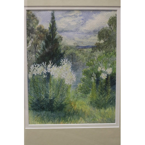 743 - H Morton, watercolour, Old Garden rear Bathurst, titled verso, 27 cm x 21 cm