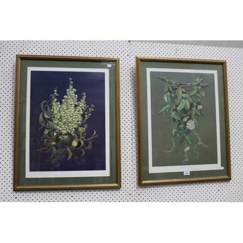 762 - Two Betty Hinton prints wattle and Robins and theothe Hoya and Sinbirds with cerificates both 122/10... 