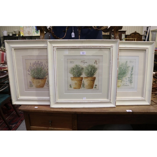 717 - Three decorated painted framed prints of herbs in terracotta pots, each approx 23cm sq (3)