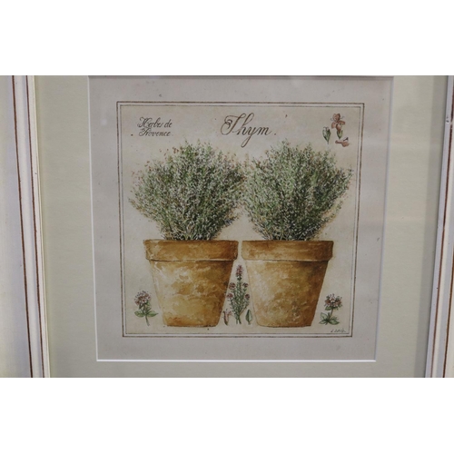 717 - Three decorated painted framed prints of herbs in terracotta pots, each approx 23cm sq (3)