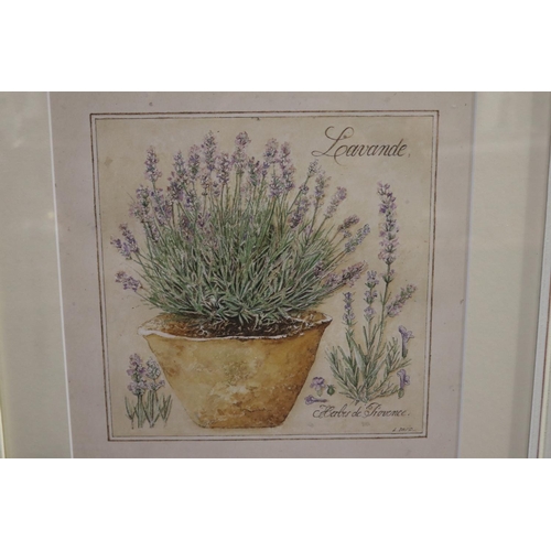 717 - Three decorated painted framed prints of herbs in terracotta pots, each approx 23cm sq (3)