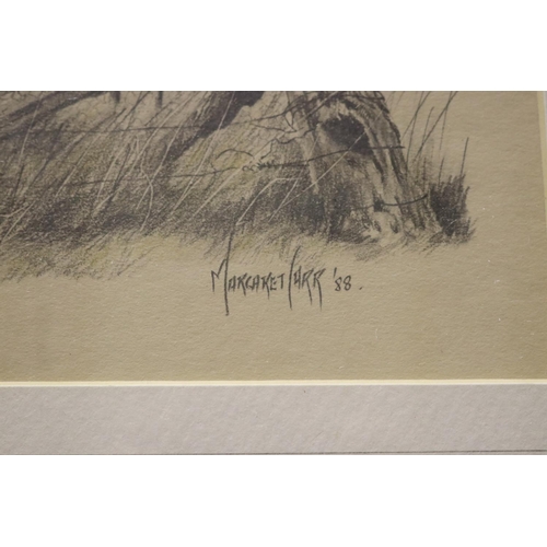 720 - Margaret Carr (Working c1988) Australia, pencil and highlight, sheep at a corner post, signed and da... 