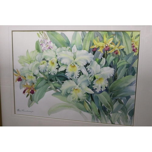 767 - Fiona Farmsbrough, still life Irises, watercolour, signed lower left, approx 50cm x 70cm