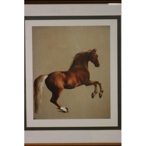 859 - Framed horse print, provenance Ex Hordern Family, approx 26.5cm x 22cm