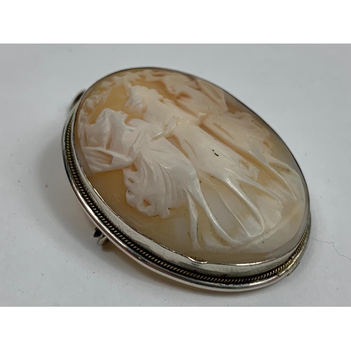Lot 255       