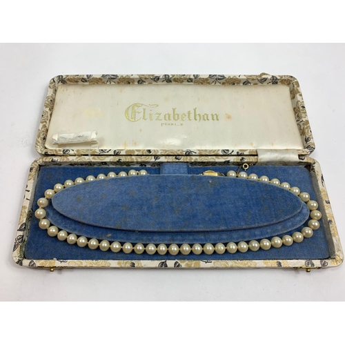 Lot 256       