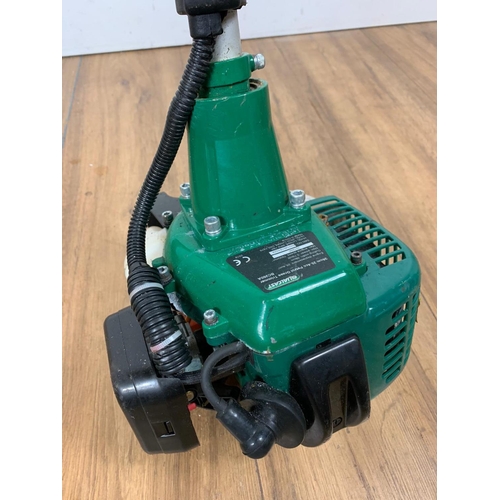 38 - Petrol strimmer