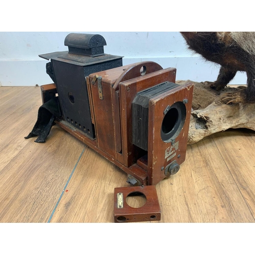 82 - Early 20th century camera and a taxidermy badger with 2 fenders