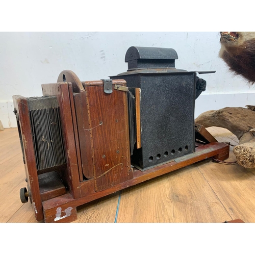 82 - Early 20th century camera and a taxidermy badger with 2 fenders