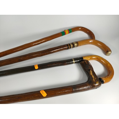 198 - Four walking sticks