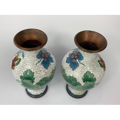 174 - Pair of Cloisonné vases, circa 1900. 21cm