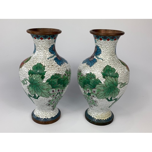 174 - Pair of Cloisonné vases, circa 1900. 21cm