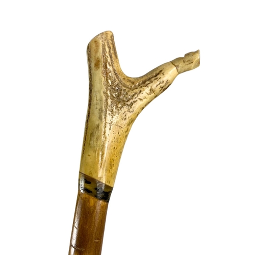 100 - 2 Antler handled thumb sticks and a Black Thorn walking stick. 120cm