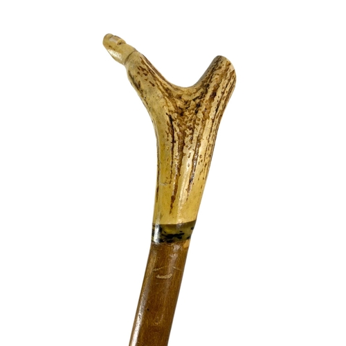 100 - 2 Antler handled thumb sticks and a Black Thorn walking stick. 120cm