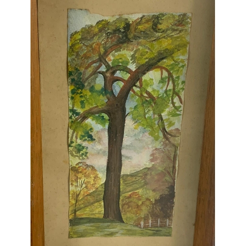 216 - 5 vintage watercolour paintings. 19.5/33.5cm. 34.5/30.5cm