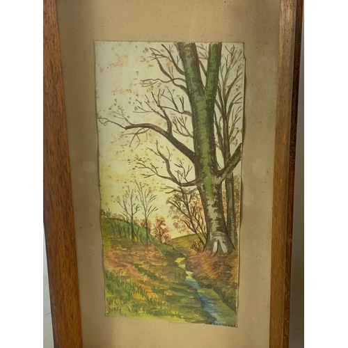 216 - 5 vintage watercolour paintings. 19.5/33.5cm. 34.5/30.5cm