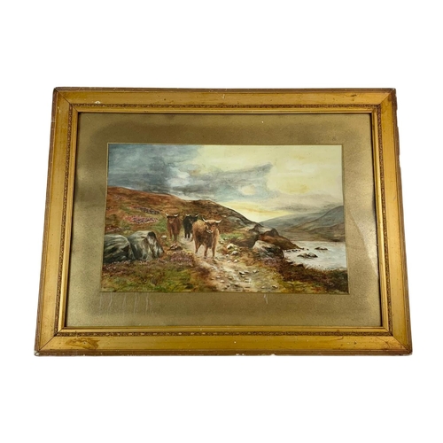 253 - 19th century painting of Highland cattle in a gilt frame. 66/50cm