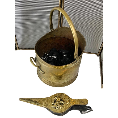 256 - Early 20th century brass coal scuttle and a vintage fireguard and bellows.