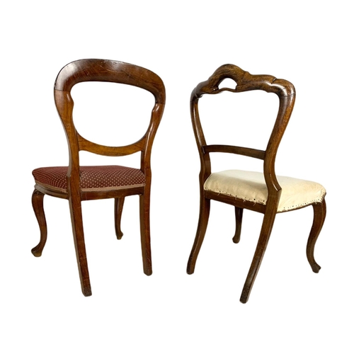 828 - 2 Victorian mahogany balloon back chairs.