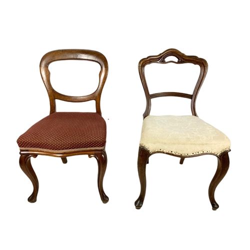 828 - 2 Victorian mahogany balloon back chairs.