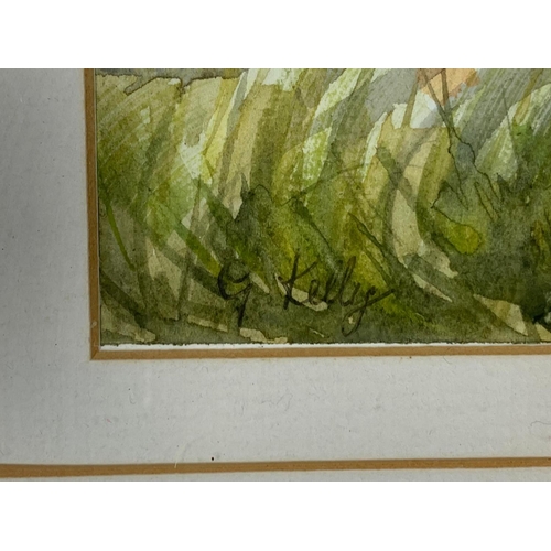 308 - 3 framed G. Kelly watercolour paintings. 44/39cm