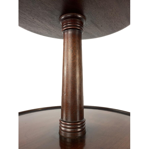 997 - Tall Georgian mahogany dumbwaiter, 63.5cm x 128cm