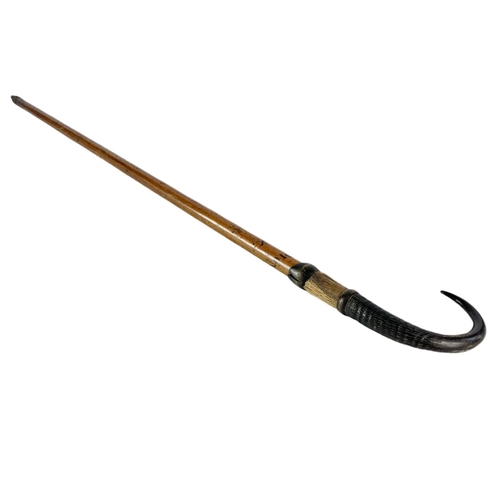 94 - Edwardian hill walkers stick with horn handle. 84cm