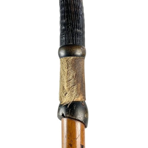 94 - Edwardian hill walkers stick with horn handle. 84cm