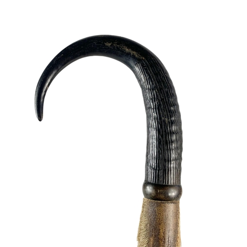 94 - Edwardian hill walkers stick with horn handle. 84cm