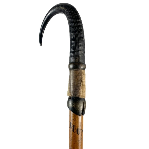 94 - Edwardian hill walkers stick with horn handle. 84cm