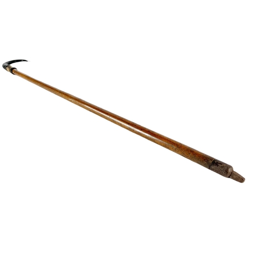 94 - Edwardian hill walkers stick with horn handle. 84cm