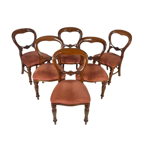 1008 - Set of 6 Victorian style mahogany balloon back chairs.