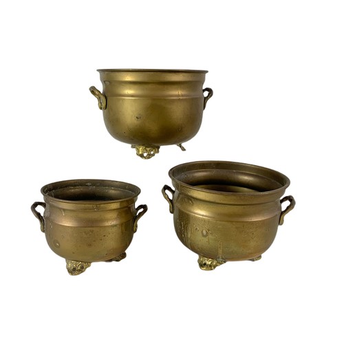 385 - 3 vintage brass planters and a galvanised watering can. 54/42cm.