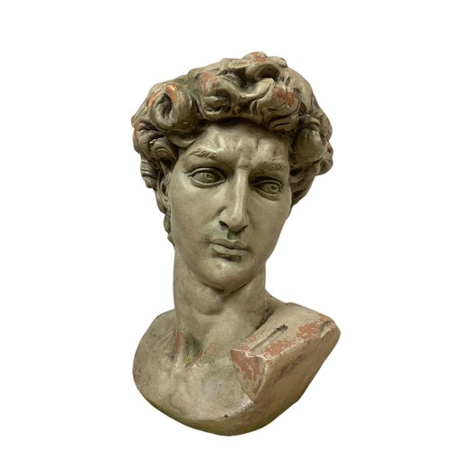 369 - Large bust of David. 59cm.