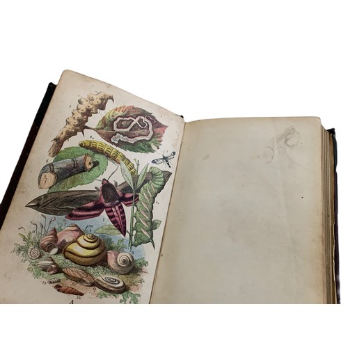 633 - 19th century Common Objects of The Country book. Book on British wildlife with coloured and black an... 