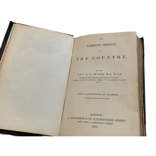 633 - 19th century Common Objects of The Country book. Book on British wildlife with coloured and black an... 