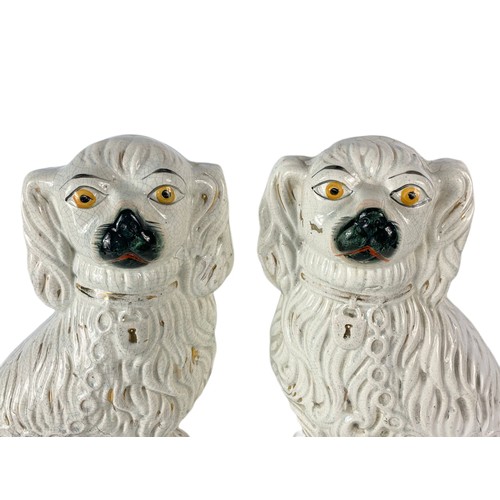 427a - Pair of large Victorian Staffordshire pottery dogs. 31x40cm