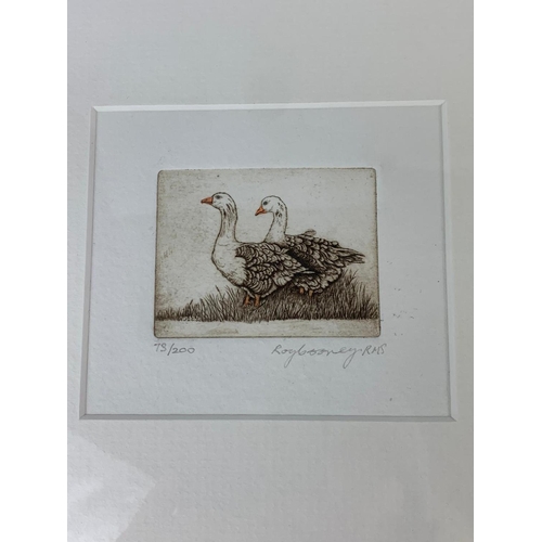 203 - 2 Original etchings by Roy Cooney. 28.5x32cm